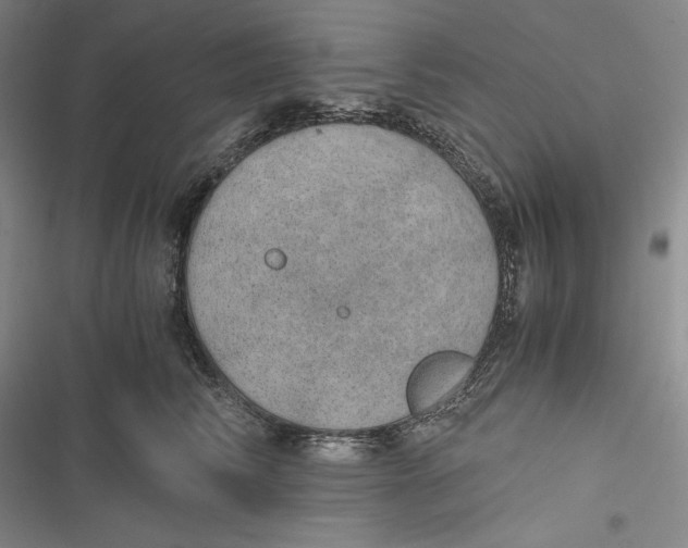 X0000116860710201001121241