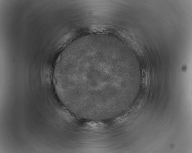 X0000116860712201001121241