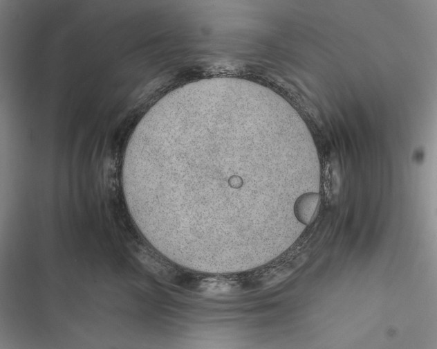 X0000116860714201001121241