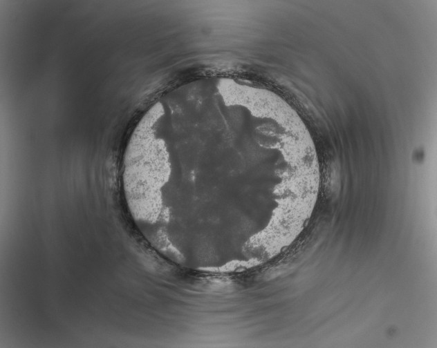 X0000116860715201001121241