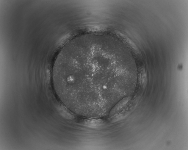 X0000116860716201001121241