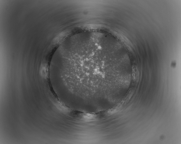 X0000116860718201001121241