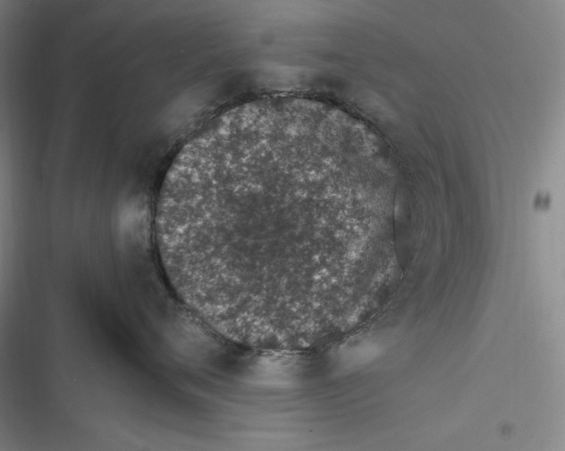 X0000116860720201001121241