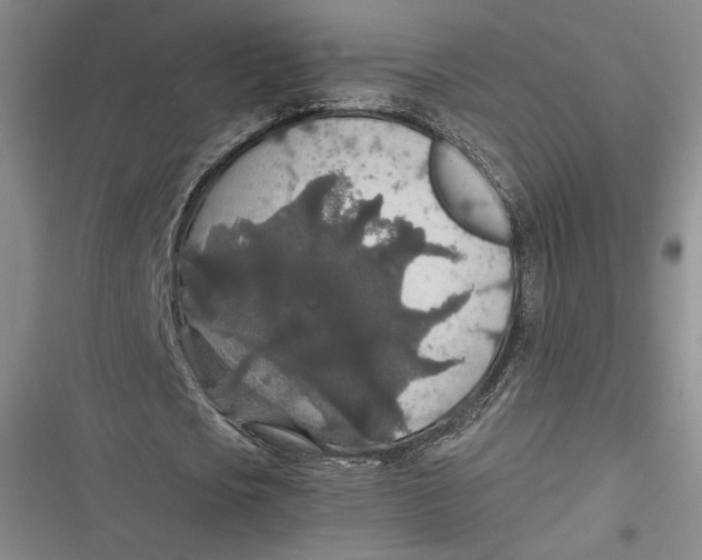 X0000116860721201001121240