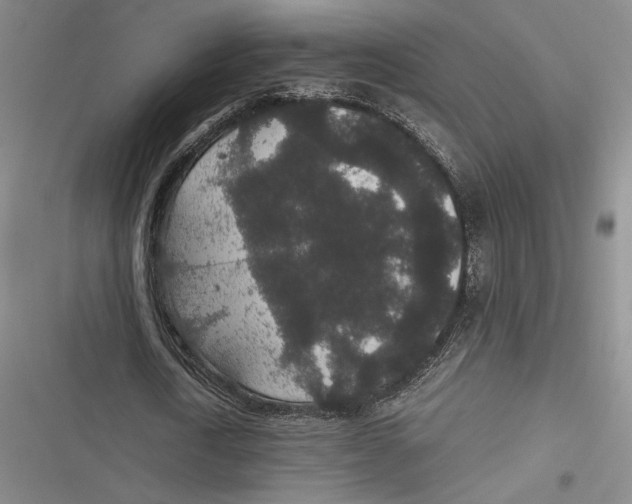 X0000116860722201001121240