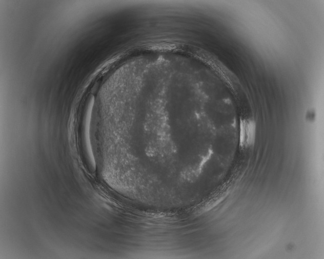 X0000116860723201001121240