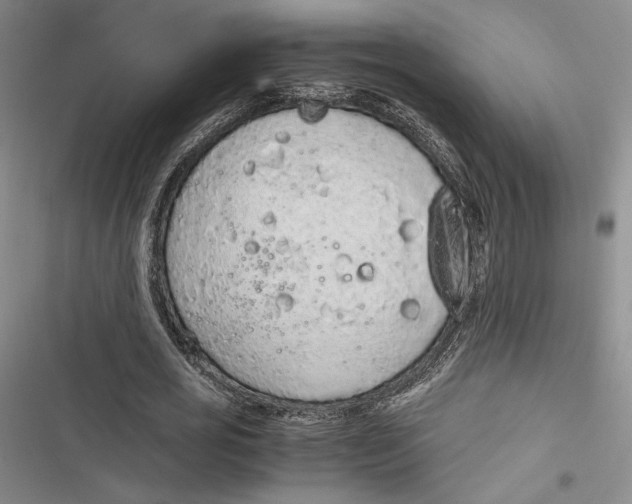 X0000116860725201001121240