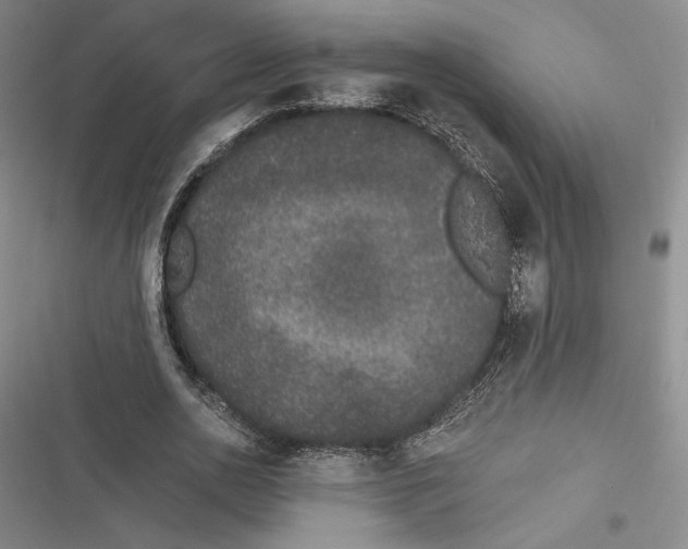 X0000116860726201001121240