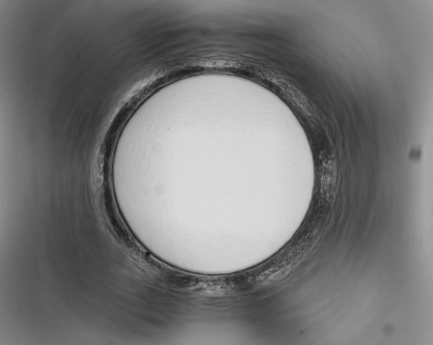 X0000116860727201001121240