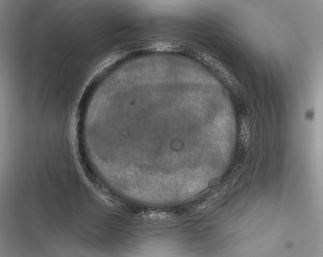 X0000116860730201001121240