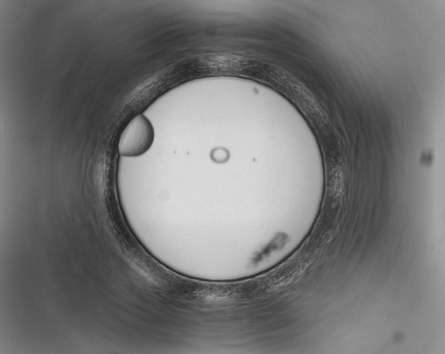 X0000116860733201001121240