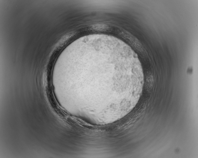 X0000116860734201001121240