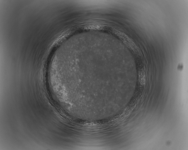 X0000116860735201001121240