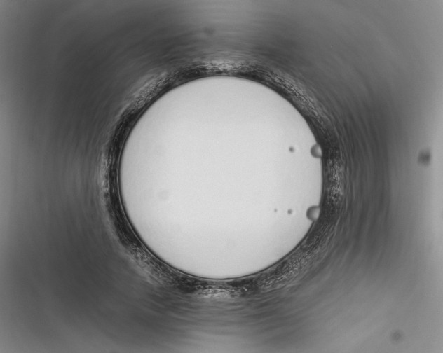 X0000116860738201001121240