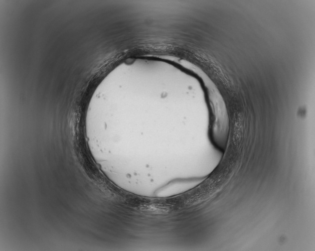 X0000116860739201001121240