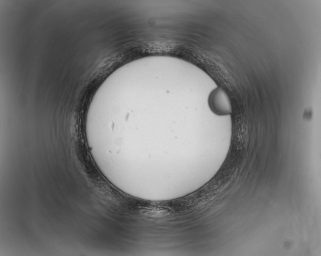 X0000116860743201001121240