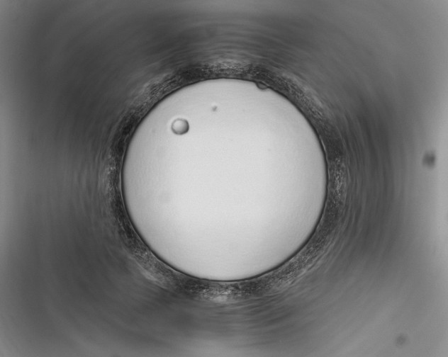 X0000116860745201001121240