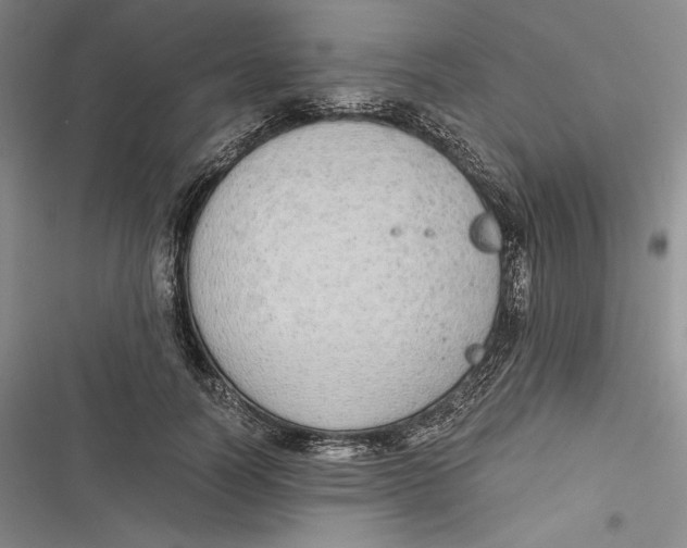 X0000116860746201001121240