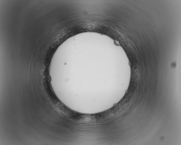 X0000116860750201001121240