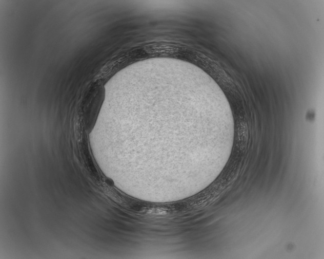 X0000116860751201001121240