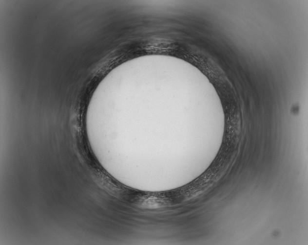 X0000116860755201001121240