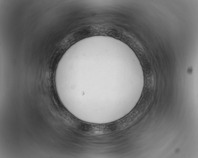 X0000116860757201001121240