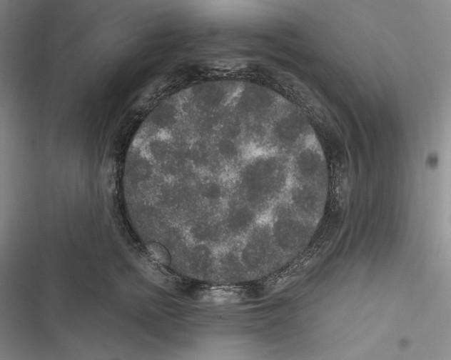 X0000116860758201001121240