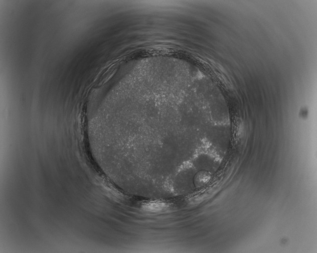 X0000116860759201001121240