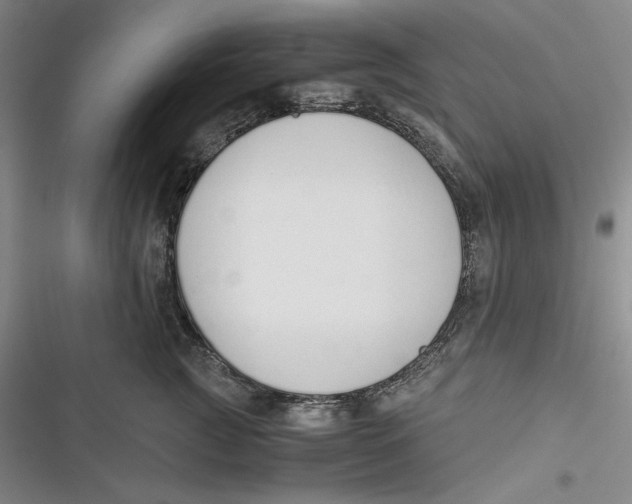 X0000116860761201001121240