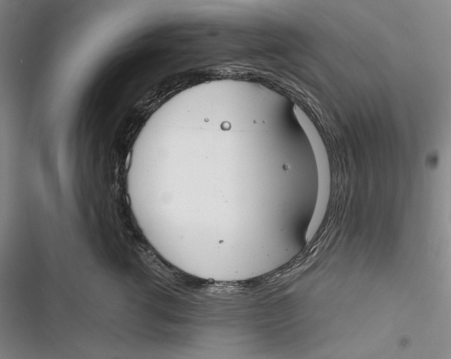 X0000116860762201001121240