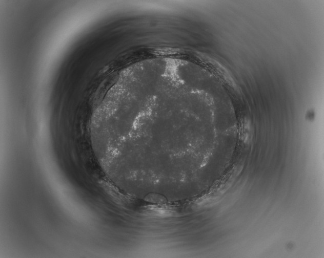 X0000116860763201001121240