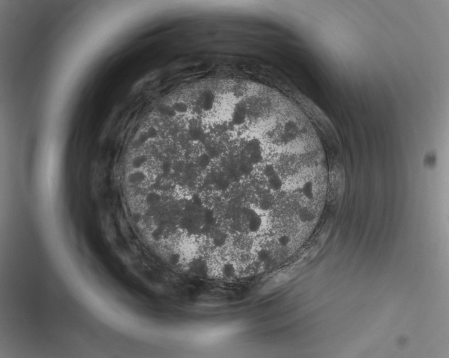 X0000116860765201001121240