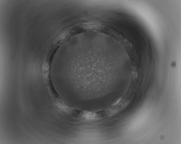 X0000116860767201001121241