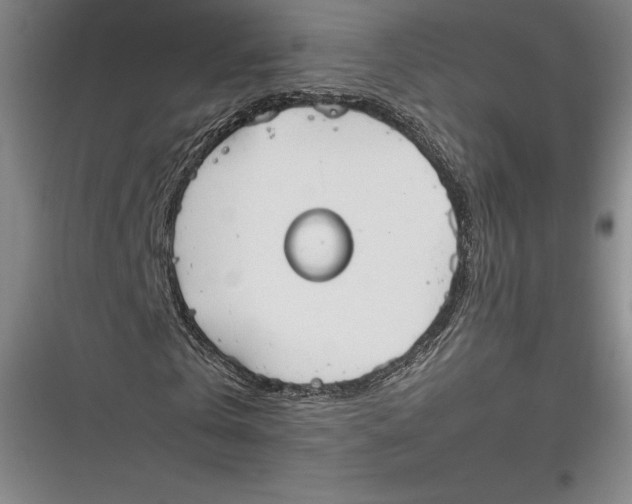 X0000116860769201001121240