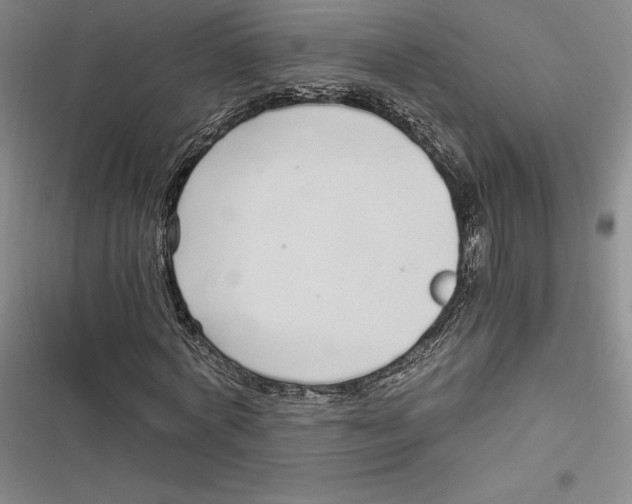 X0000116860772201001121240