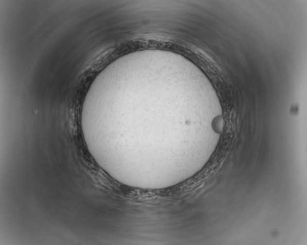 X0000116860774201001121240