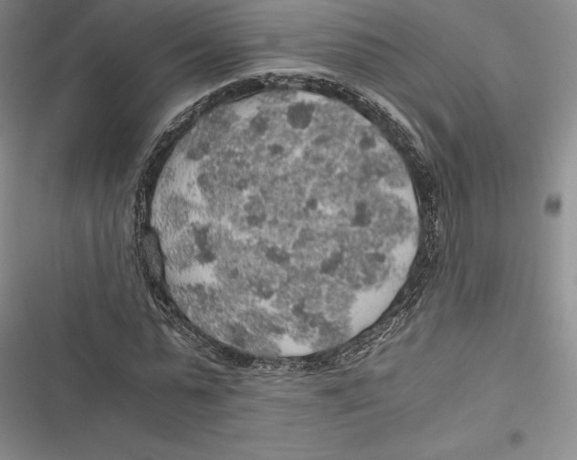 X0000116860775201001121240