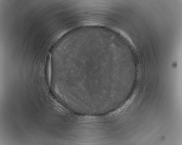 X0000116860777201001121240