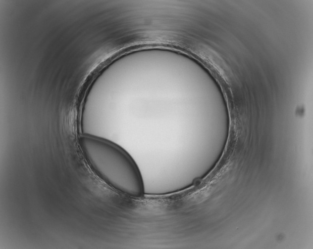 X0000116860781201001121240