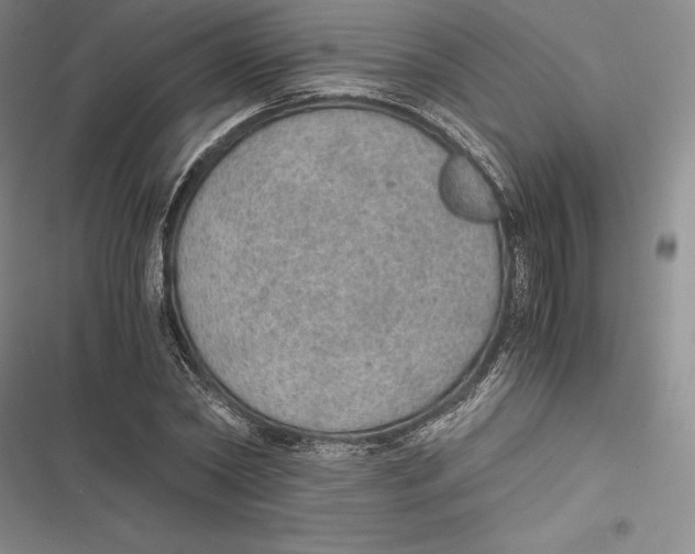 X0000116860782201001121240