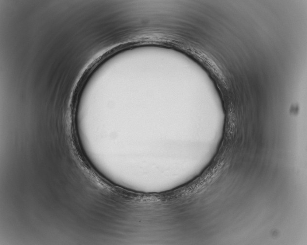 X0000116860784201001121240