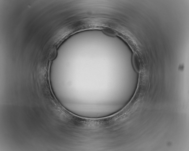 X0000116860785201001121240