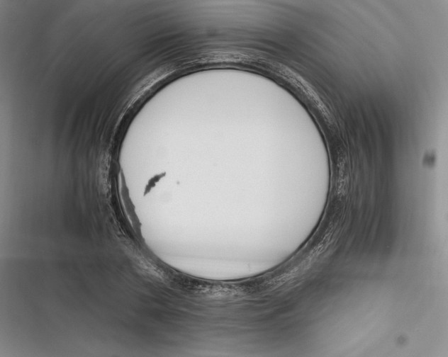 X0000116860786201001121240