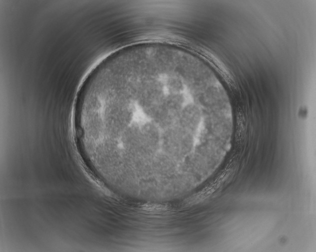 X0000116860788201001121240