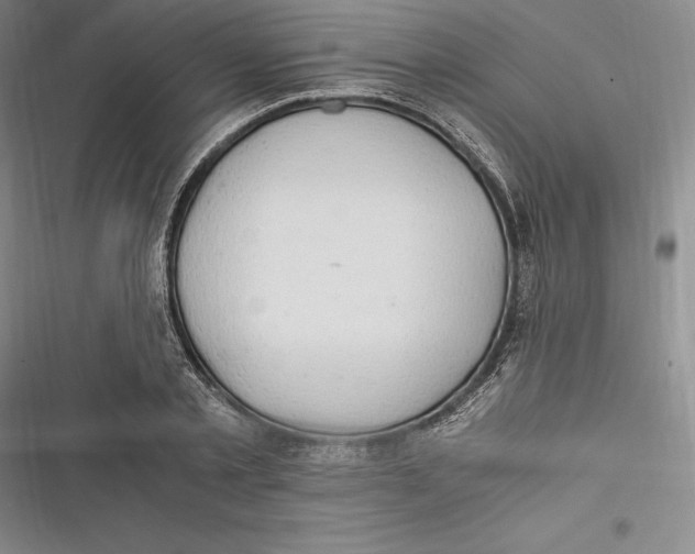 X0000116860789201001121240