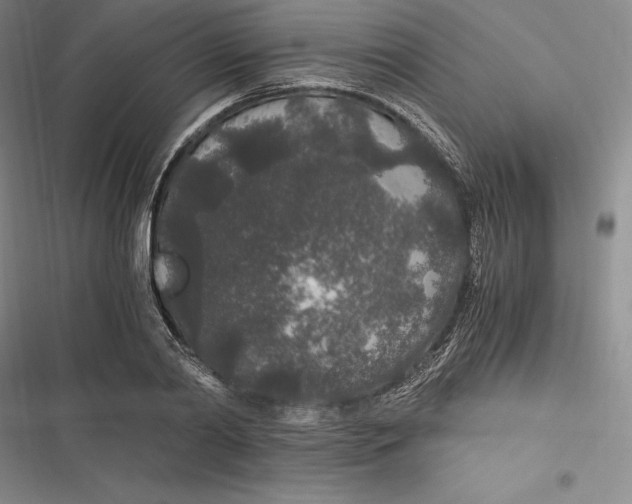 X0000116860790201001121240