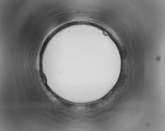 X0000116860791201001121240