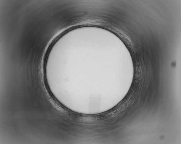 X0000116860792201001121240