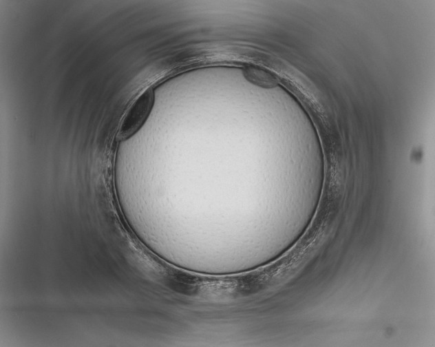 X0000116860793201001121240