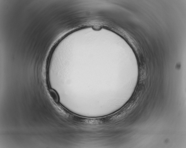 X0000116860795201001121240